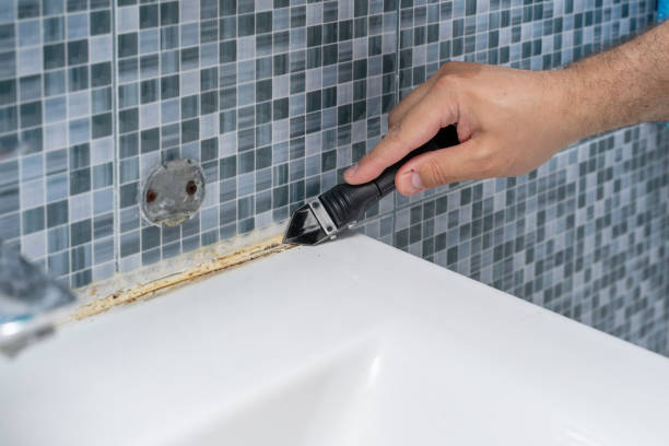 Best Residential Mold Removal  in Vinita Park, MO